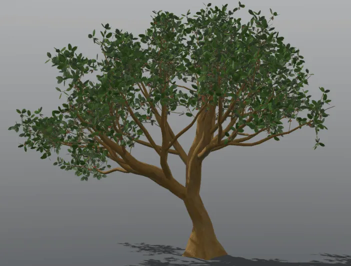 Malahat VR project asset