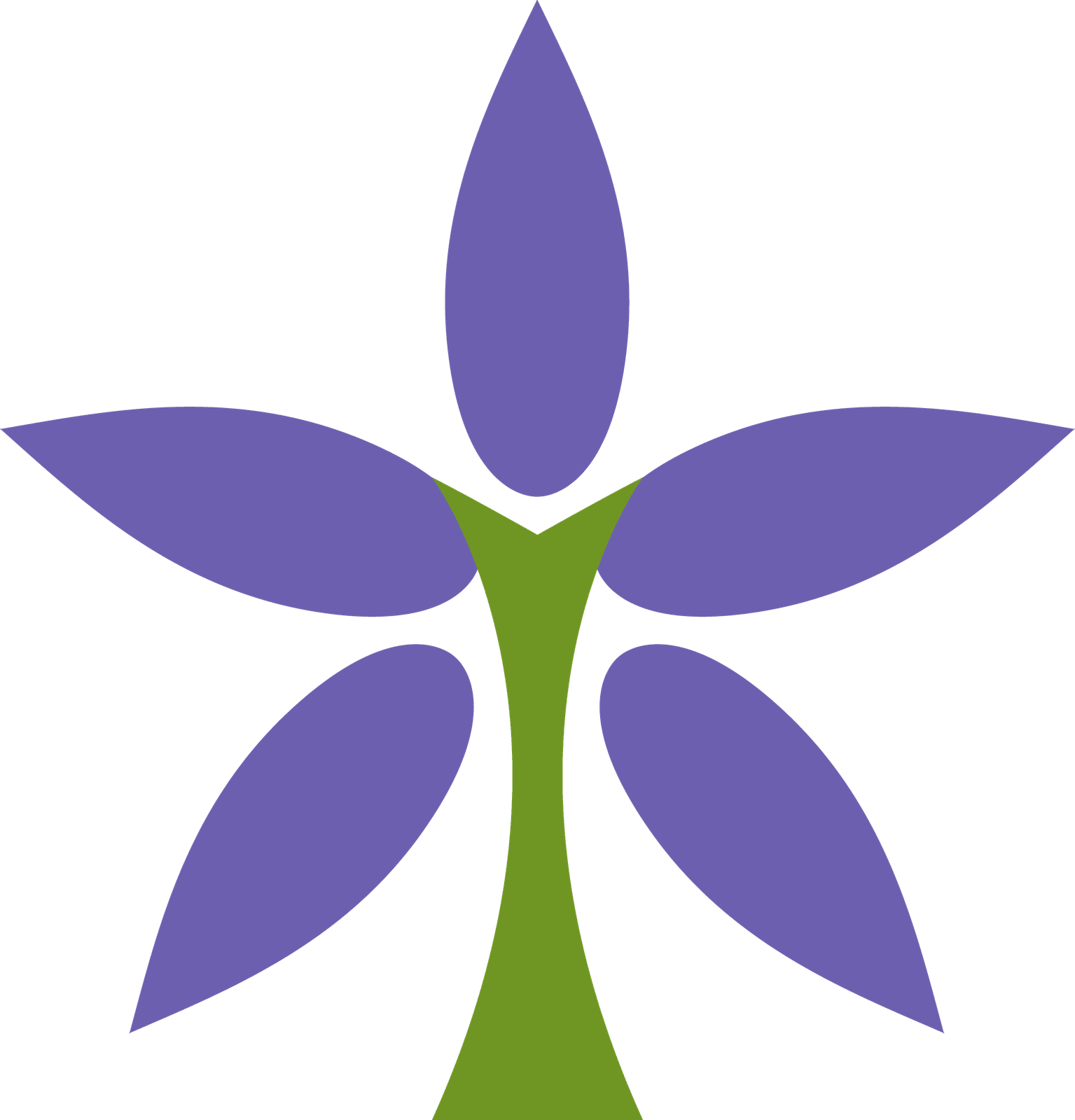 Bloom Studio logo